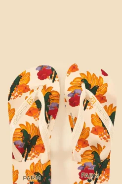  BANANA NEST HAVAIANAS SANDALS