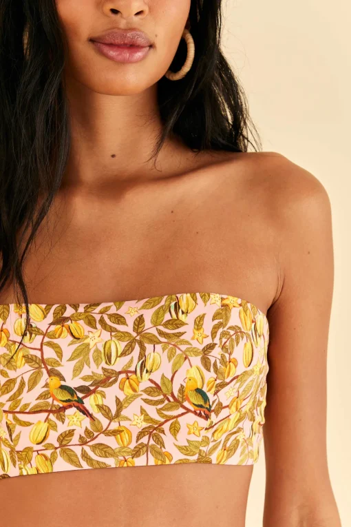  LIGHT PINK STAR FRUIT CROP TOP