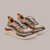  MULTICOLOR APOLO SNEAKER